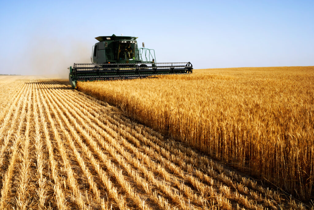 Combine harvesting wheat Getty