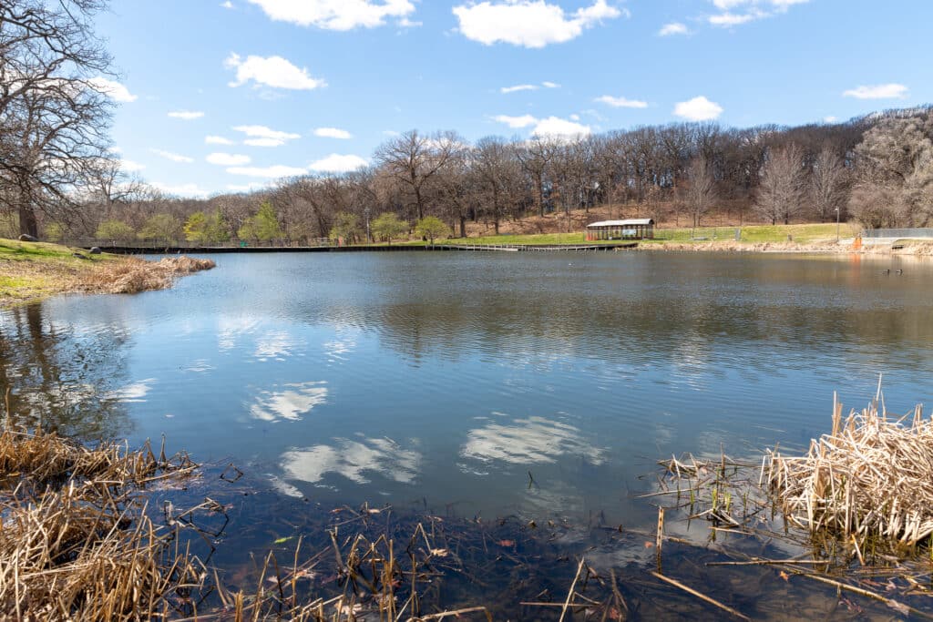 Greenwood Pond 3